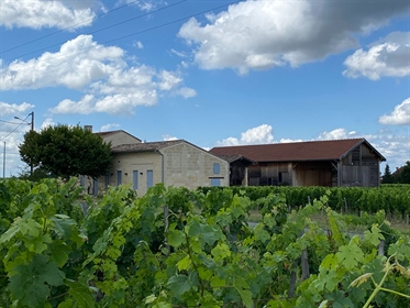 Exception terroir for this vineyard of almost 2 hectares St Emilion Grand Cru.