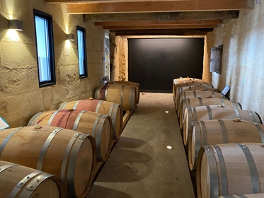 Uitzondering terroir voor deze wijngaard van bijna 2 hectare St Emilion Grand Cru.