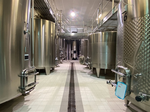 Fremragende omgivelser for denne viticole domaine helt omgivet af sine 45 hektar i produktion stra