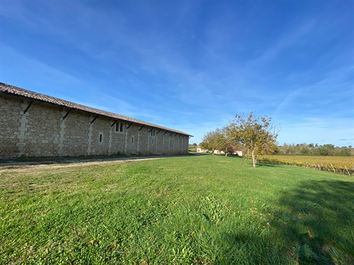 Located in the rolling hills of the Entre Deux Mers region this vineyard of 28 Ha in the process of