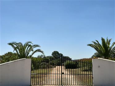 Verkoopt een Alentejo in Algarve-Portugal