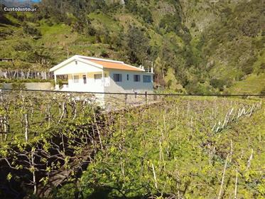 Magnifique ferme t3 avec 5000m2 de vignoble à São Vicente