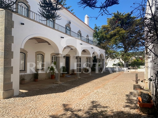Quinta in São Brás de Alportel - center of the Algarve