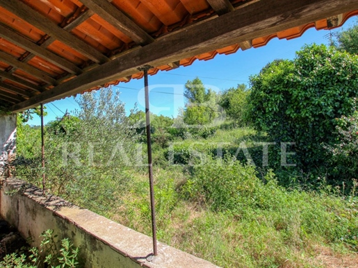 Old House | 1400 m2 Land - Between Castelo De Bode and Tomar
