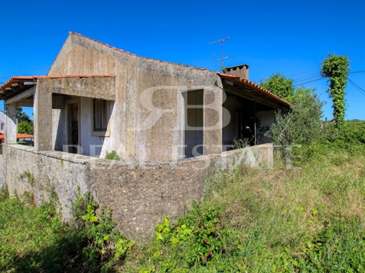 Old House | 1400 m2 Land - Between Castelo De Bode and Tomar