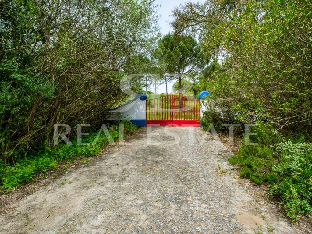 Property in Alentejo | Montemor-o-Novo | 1 hour from Lisbon