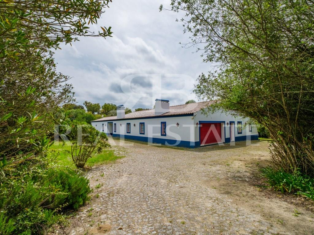 Property in Alentejo | Montemor-o-Novo | 1 hour from Lisbon