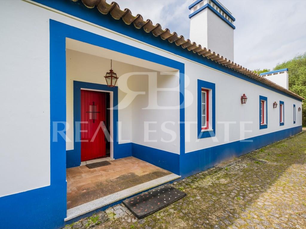 Property in Alentejo | Montemor-o-Novo | 1 hour from Lisbon