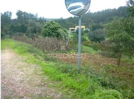 Advert picture