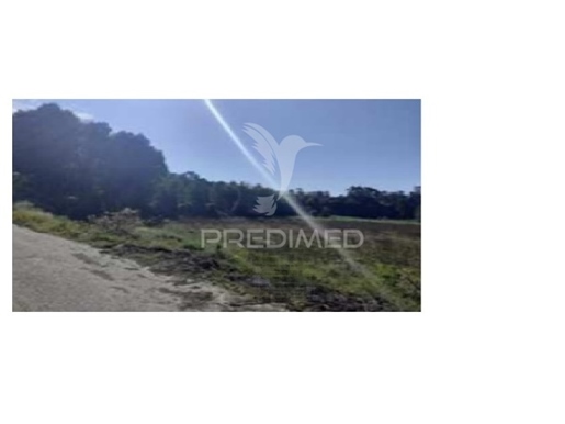 Advert picture
