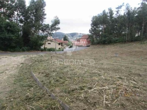 Advert picture
