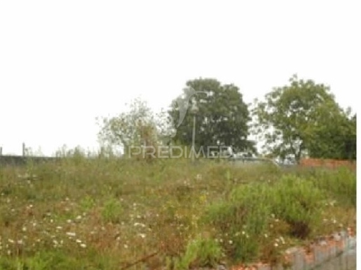 Advert picture
