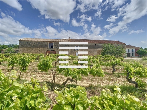 Villalier - Domaine viticole de 42 hectares