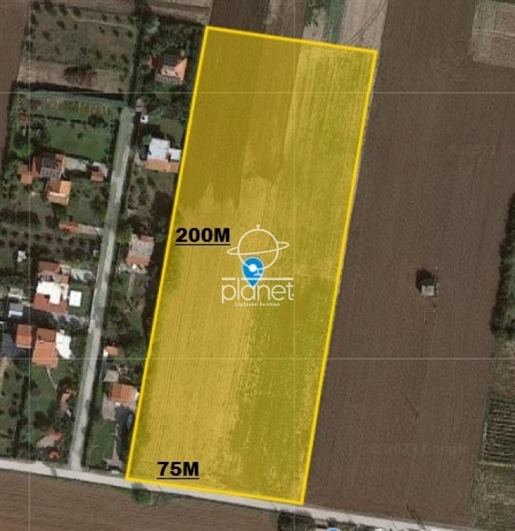 Agricultural, 15125 sq, for sale