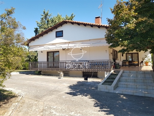 House, 300 sq, for sale