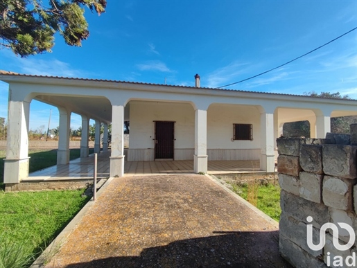 Maison individuelle / Villa à vendre 100 m² - 3 chambres - Carovigno