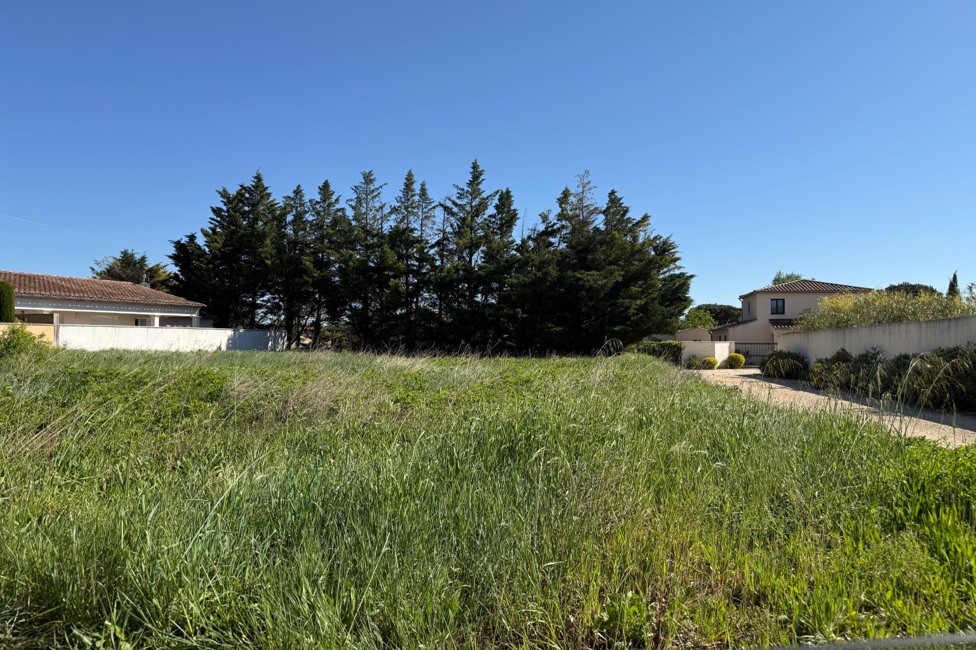 Purchase: Land (30700)