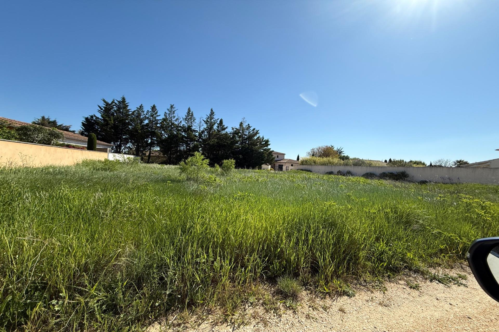 Purchase: Land (30700)