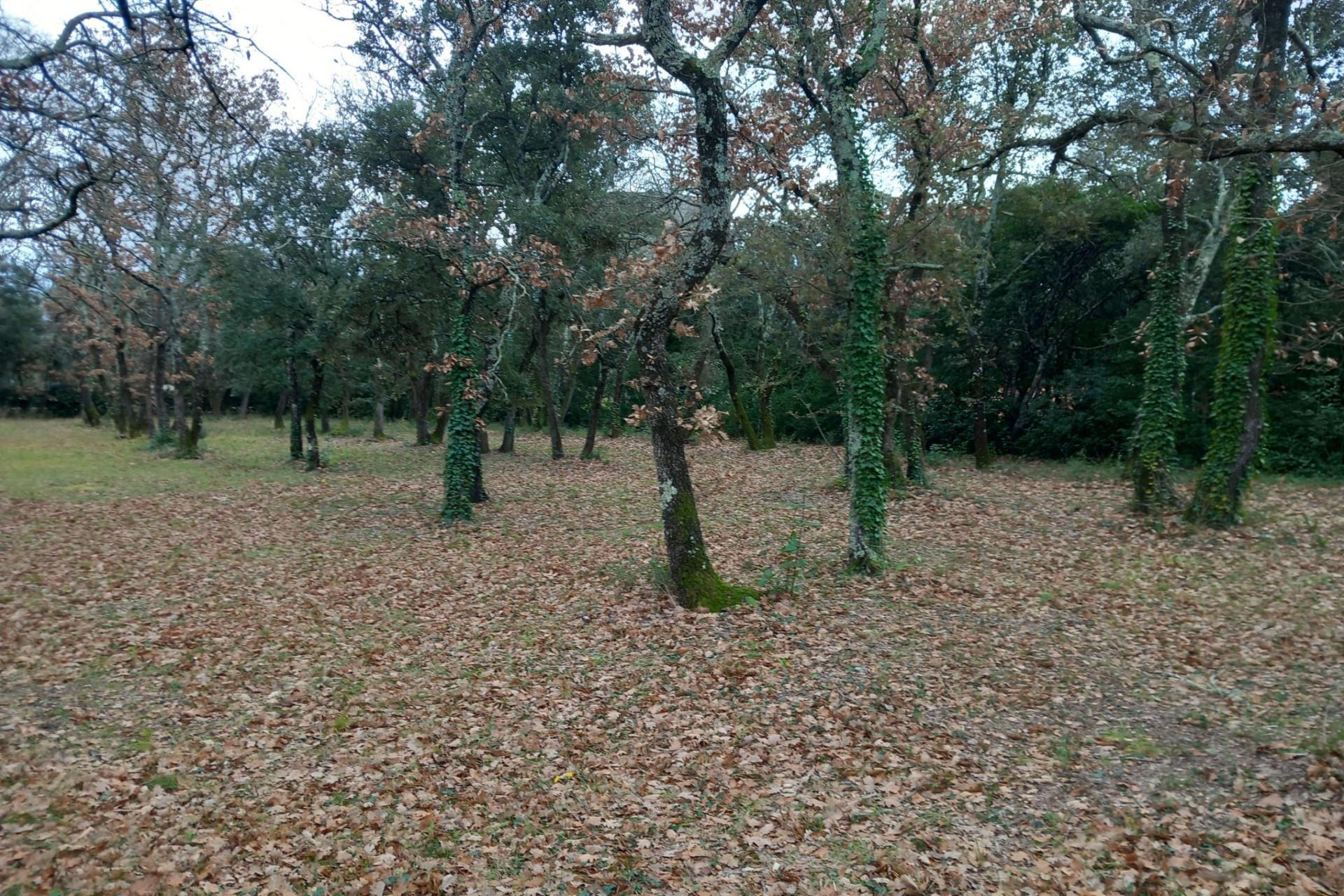 Vente terrain constructible