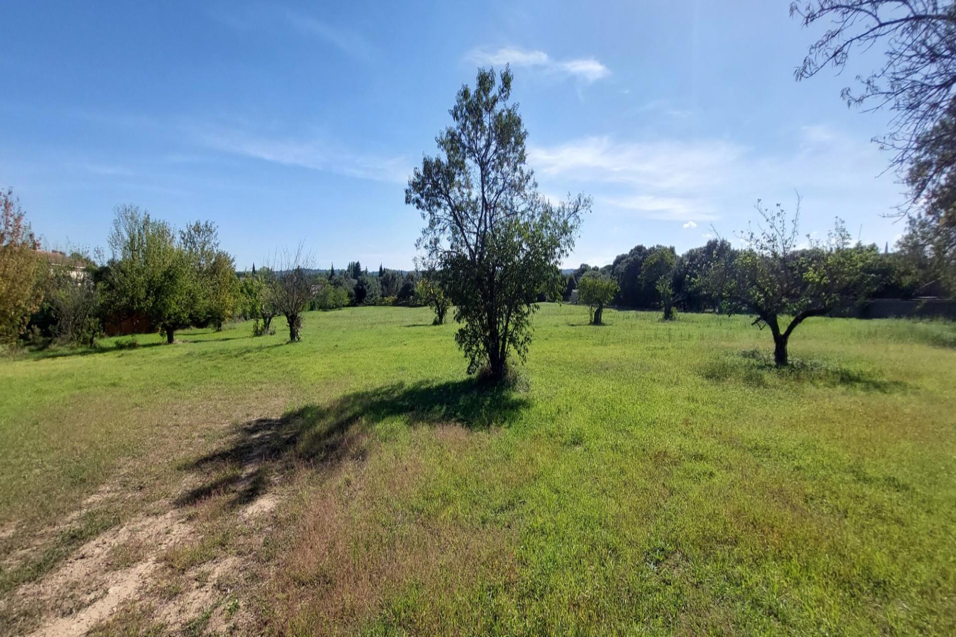 Purchase: Land (30700)