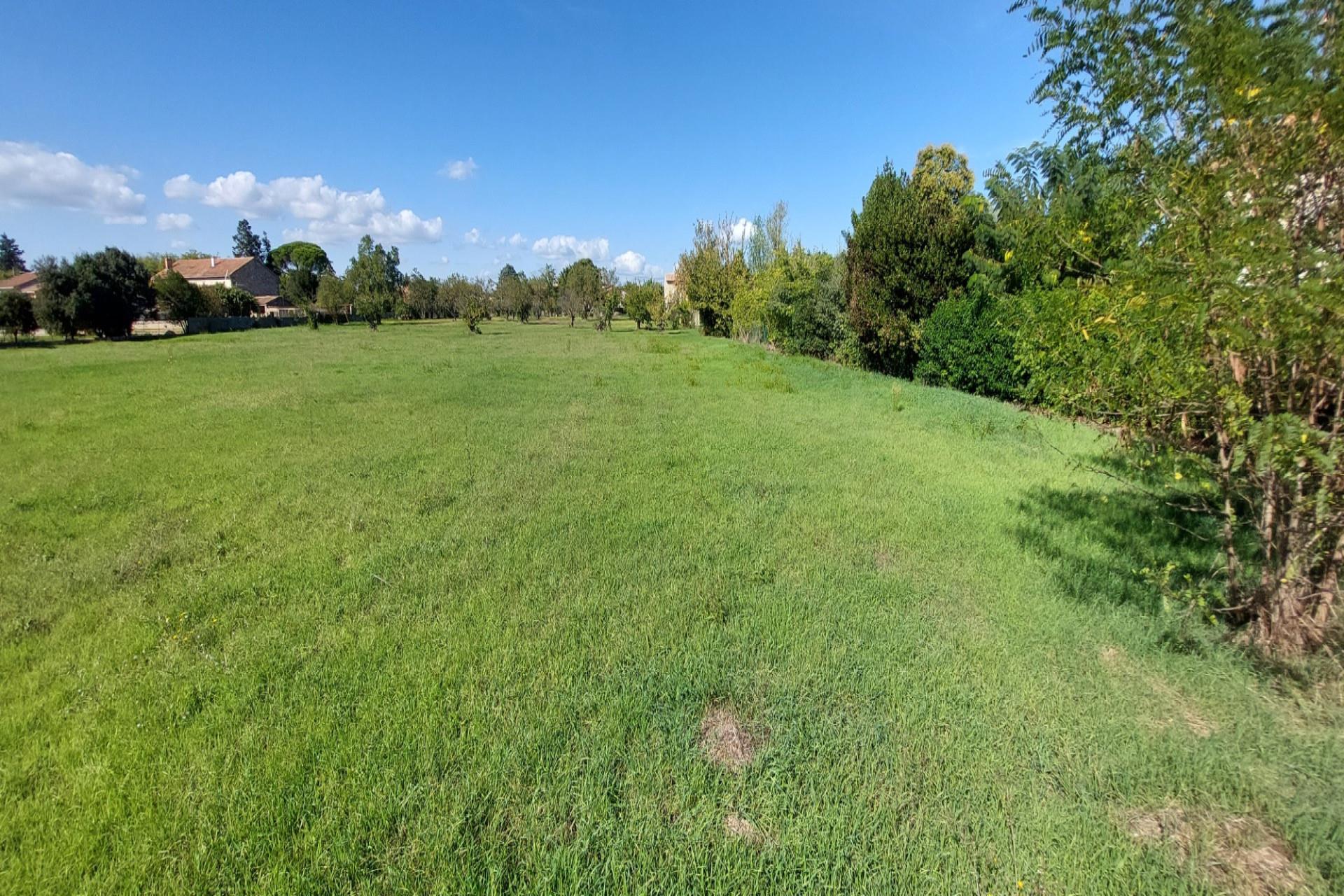 Purchase: Land (30700)