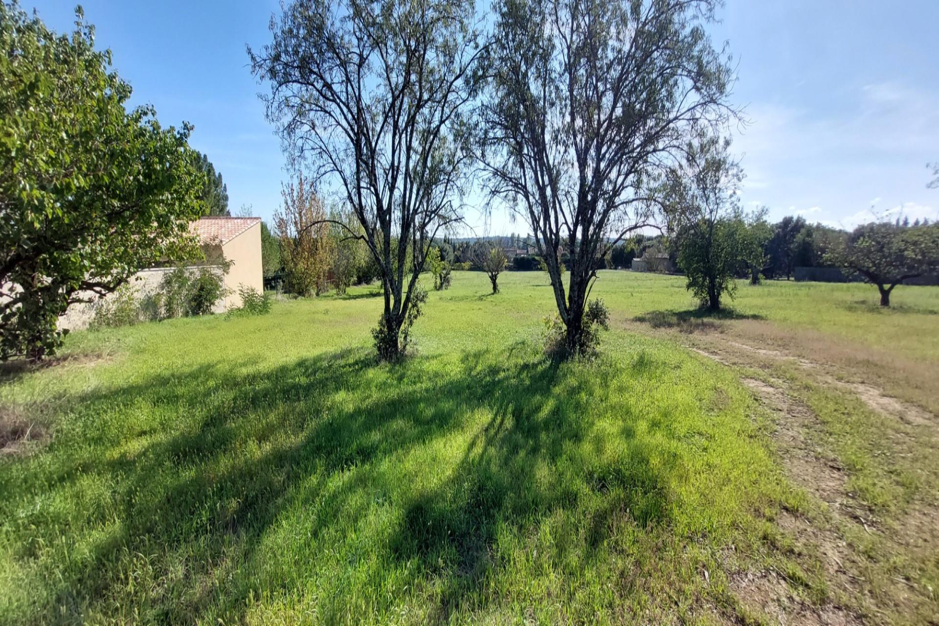 Purchase: Land (30700)