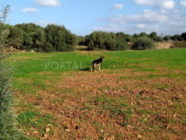Propriété rurale aux alentours de Ciutadella.