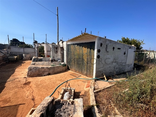 Orchard with several buildings, own well, electricity and telephone!!