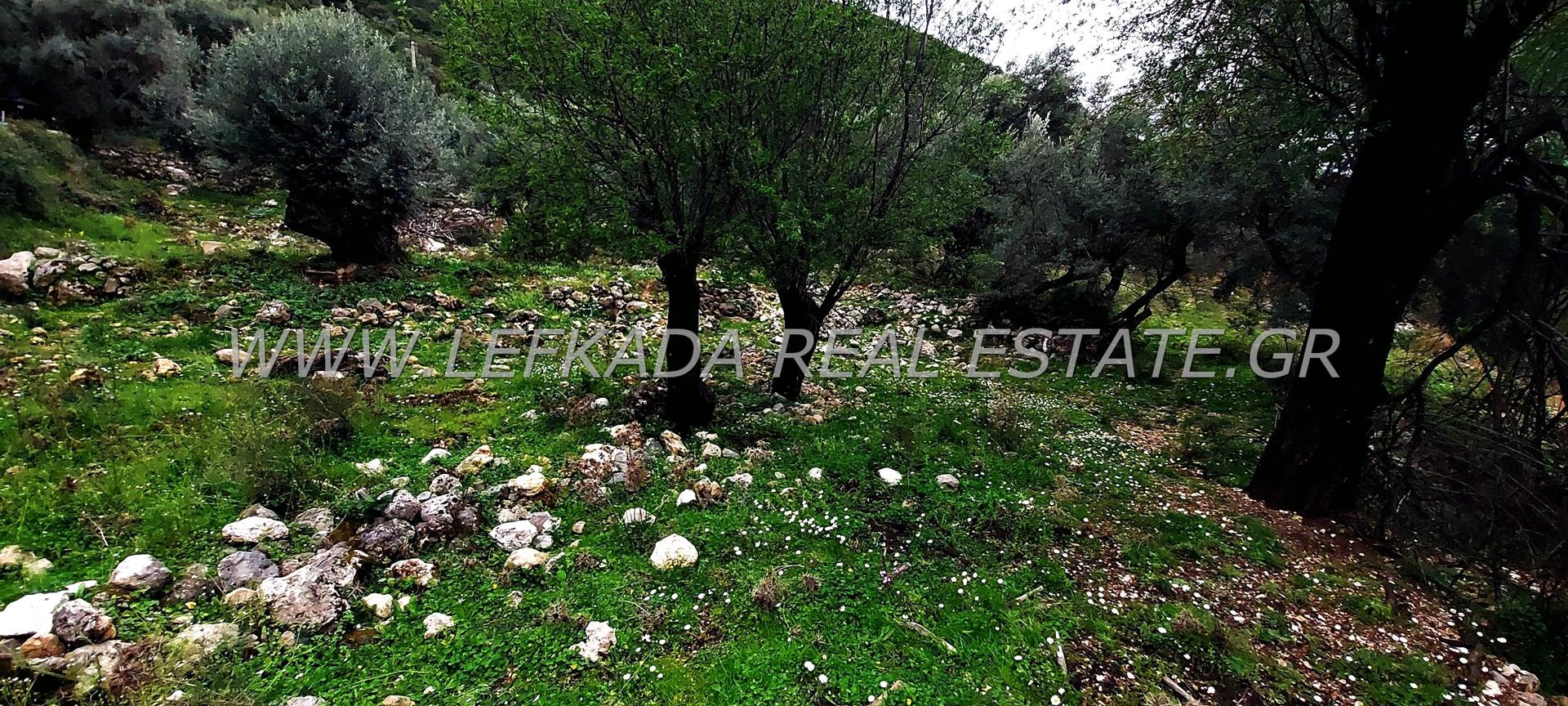 Plot of land with panoramic sea view in Nikiana Lefkada