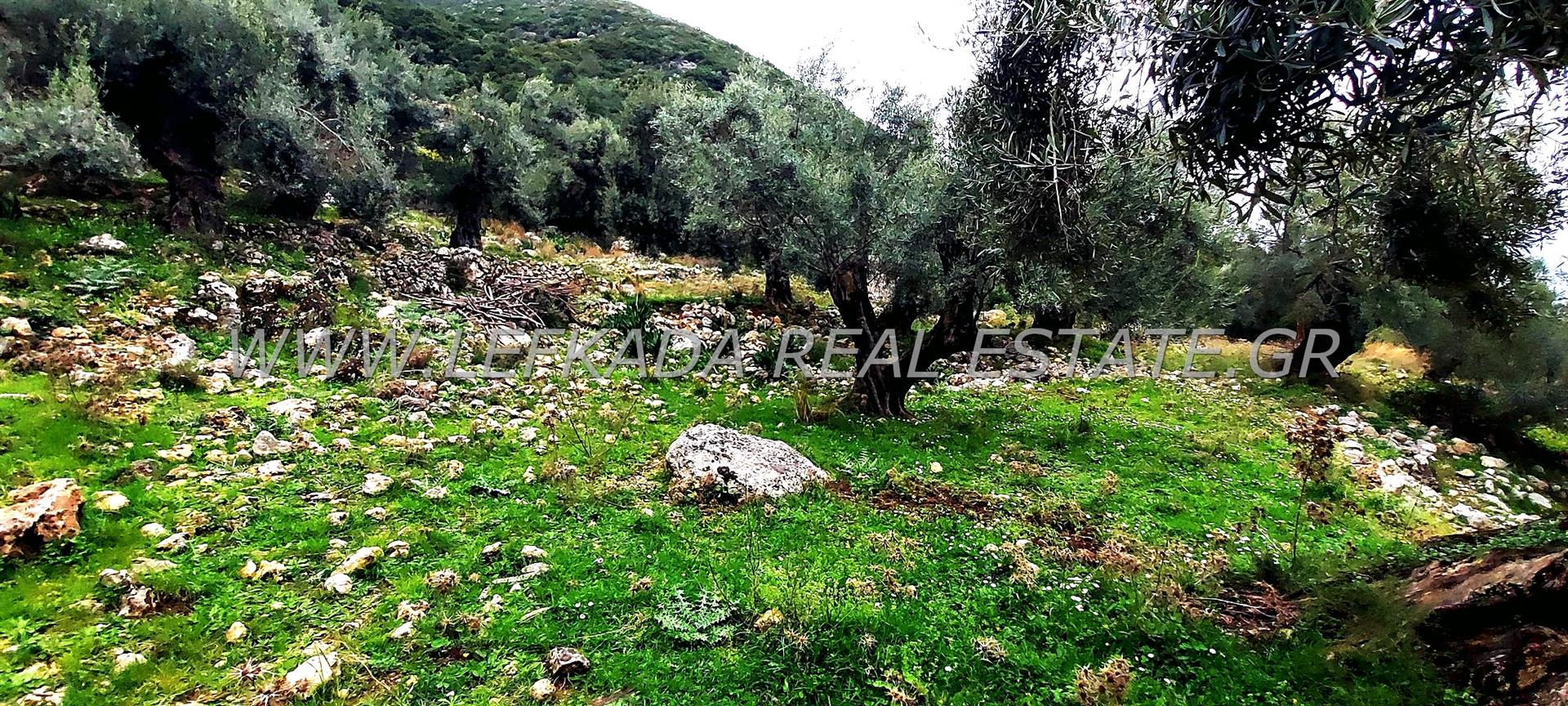 Plot of land with panoramic sea view in Nikiana Lefkada