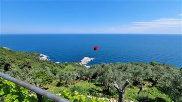 For sale detached house with stunning Aegean view in Tsagarada Pelion