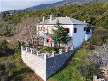 For sale traditional stone house in Central Pelion