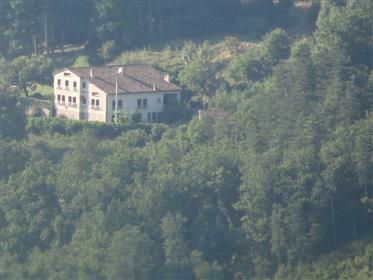 Large house with 2 gîtes and 12x5 swimming pool, in 50 acres of garden, field and forest.