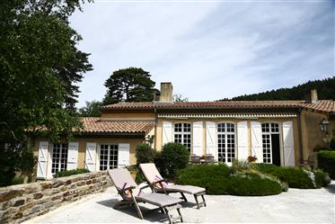Villa prowansalskim charakteru na sosnowego lasu w pobliżu Castres