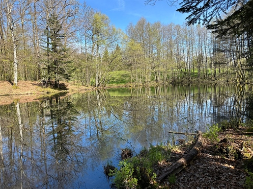 Sale property of 83.56 ares including 2 ponds of 17 and 19 ares plateau des 1000 ponds 81,000 euros