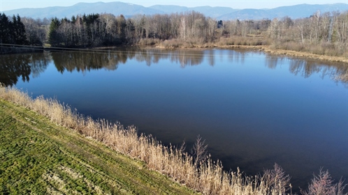 Sale pond Evette Salbert, Territoire de Belfort, 128,000 euros
