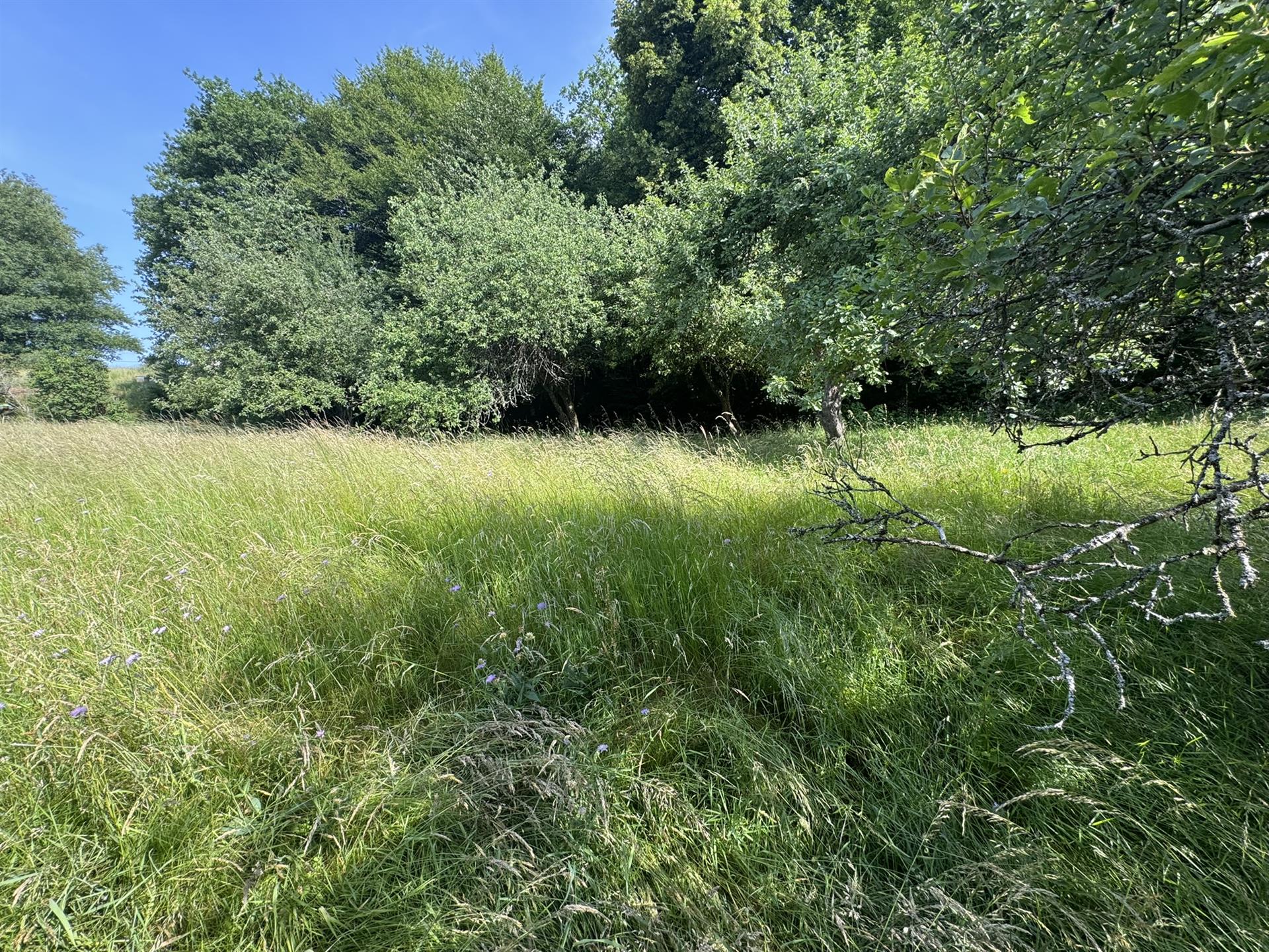 For sale old farmhouse of approximately 147 m2 of living space with outbuildings, on 5270 m2 of land