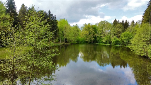 Vente propriété de 1,78 ha dont 2 étangs de 68 et 13 ares Servance 97 000. €