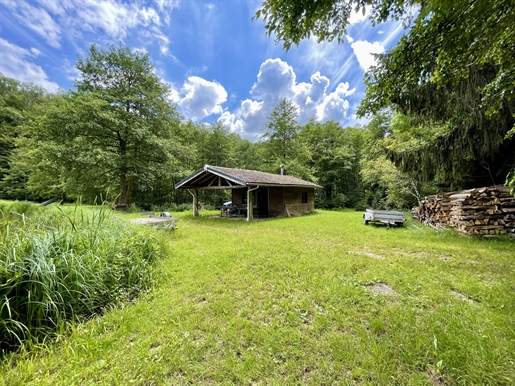 Verkauf eines Freizeitgrundstücks von ca. 28.336 m2 mit Teich von mehr als 1h3 in Lomont