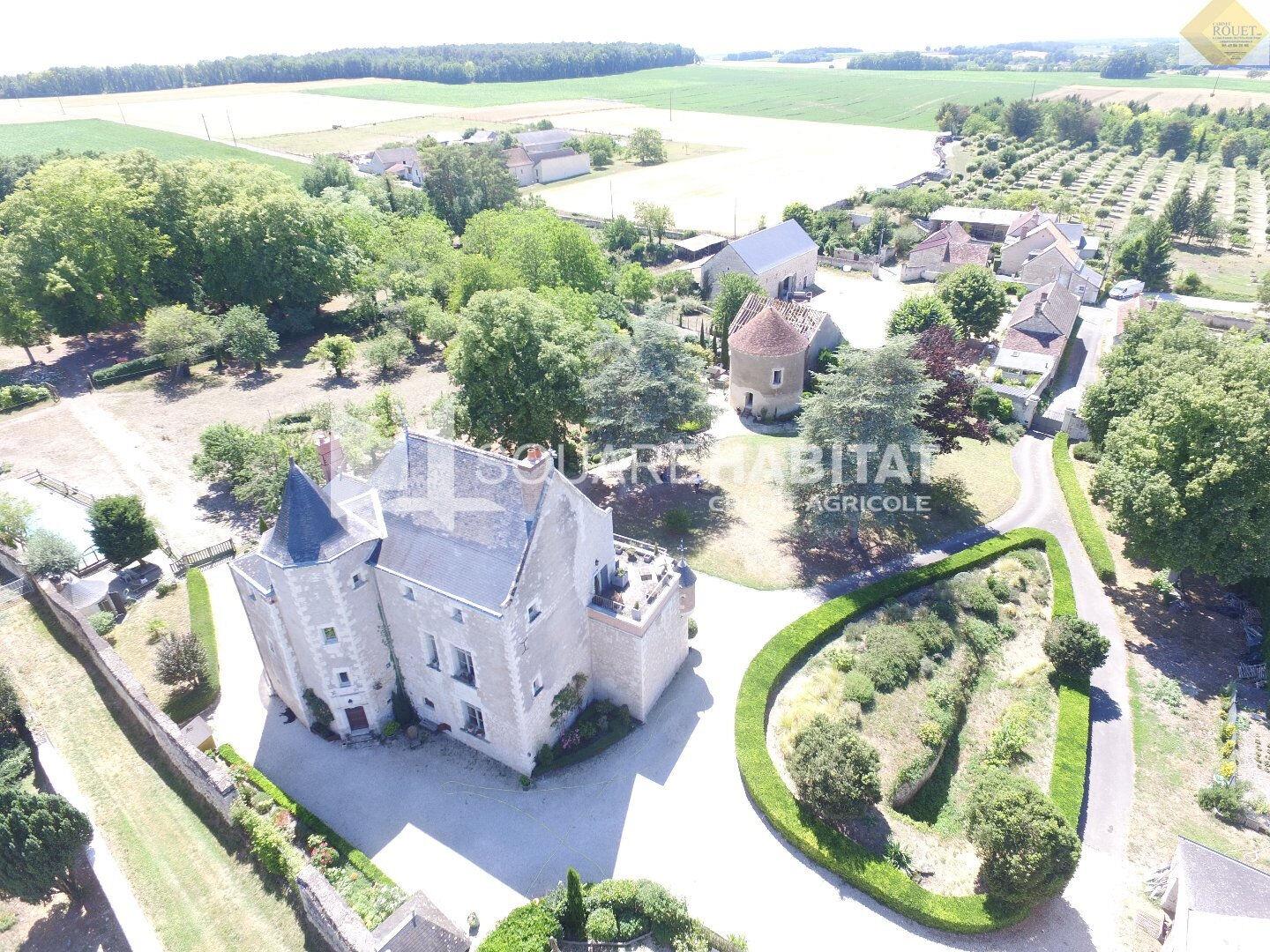 Château in der Nähe von Ile Bouchard 400 m2 - 5 Schlafzimmer - Ferienhäuser - Park - Hallenbad