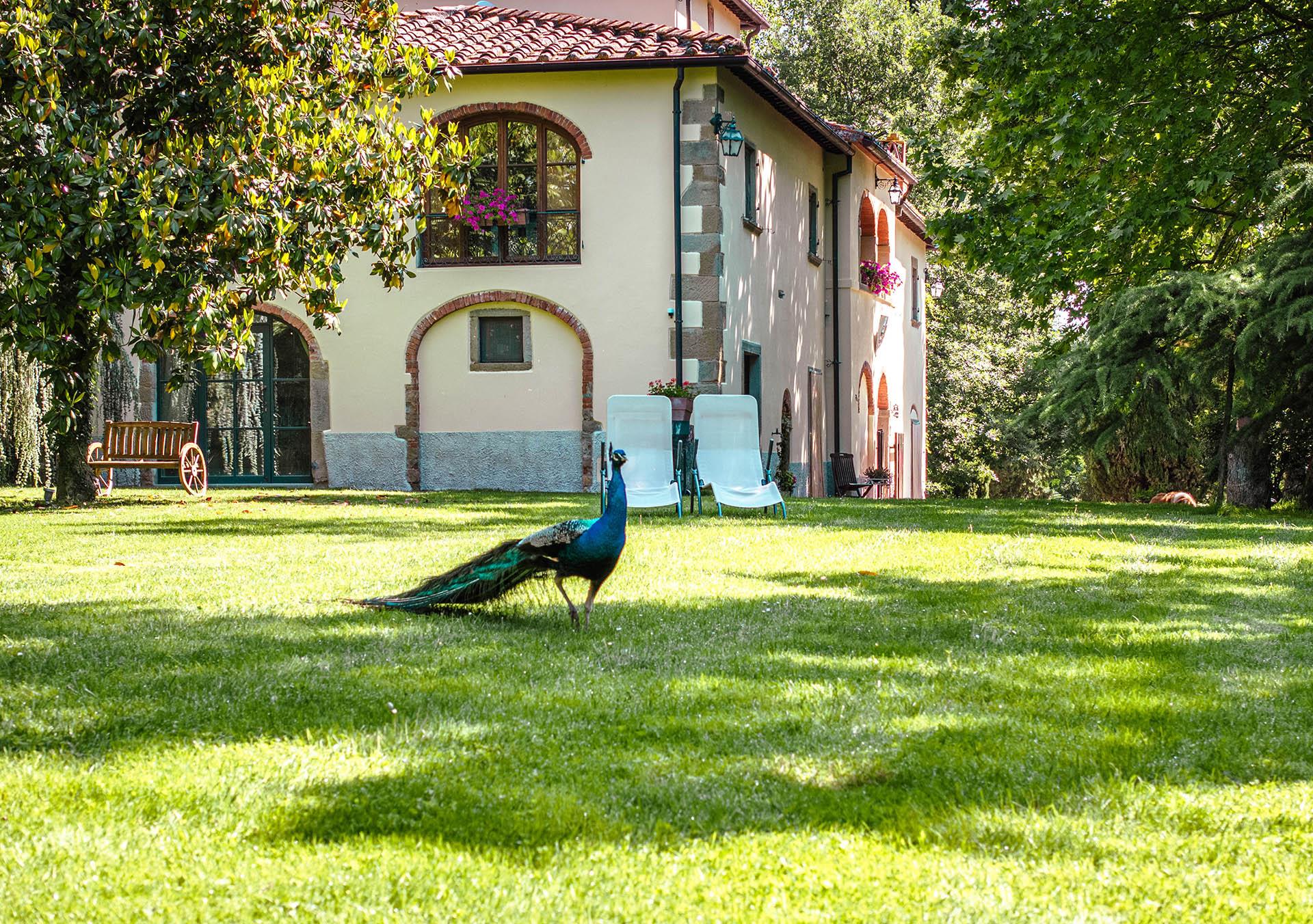 Elegant Leopoldina within walking distance from the village
