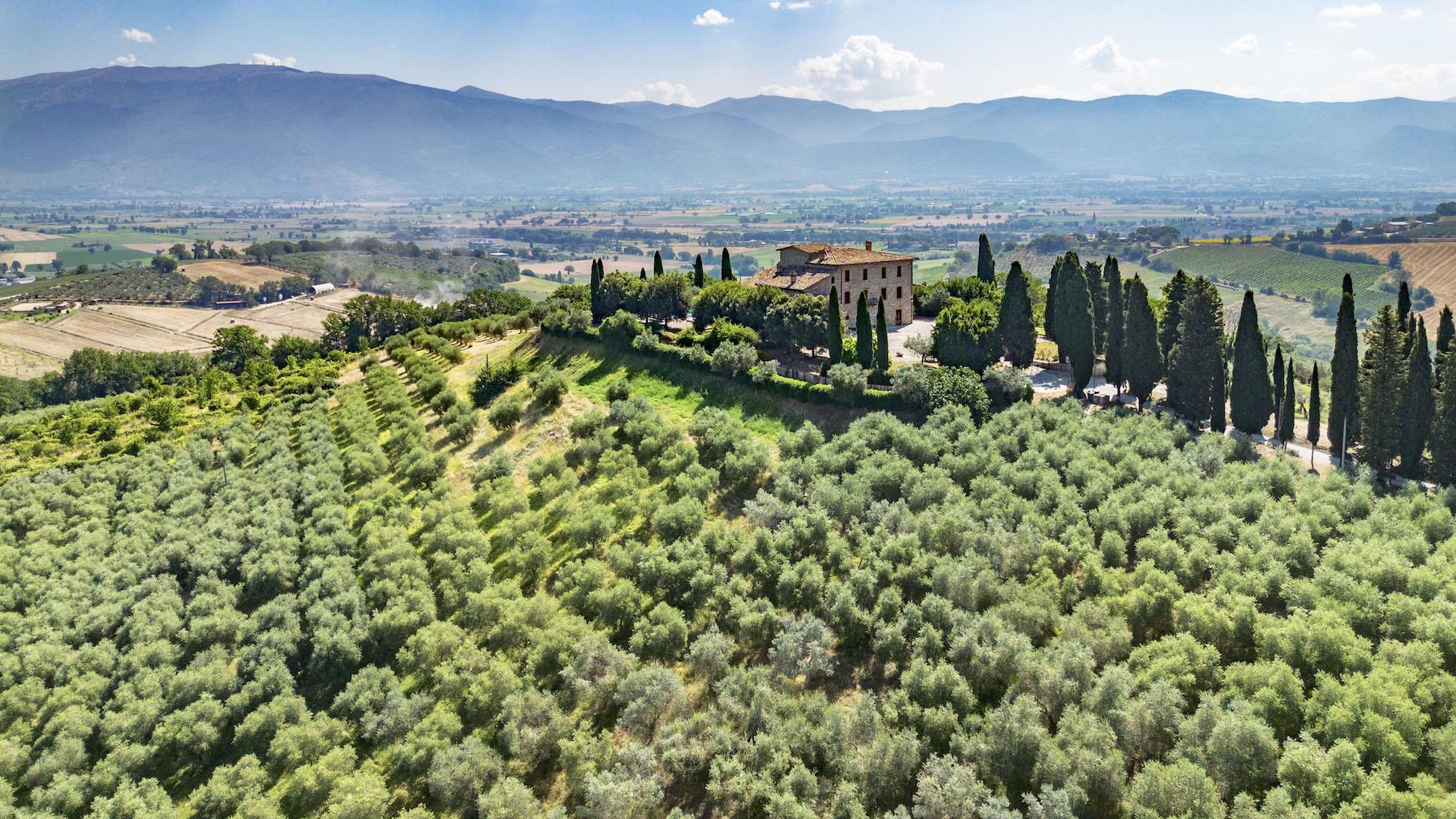 The Poggio Del Vescovo Estate