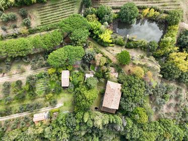 Stone farmhouse with views of Cortona, private pond, vineyard and olive grove