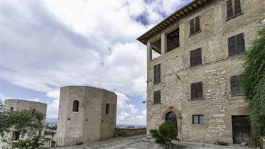 Palazzo in the historic centre with a breathtaking view of the Towers and the valley