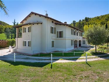 Spacious villa with pool and padel courts