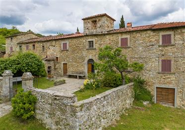 Historisches Dorf mit Kirche im Casentino