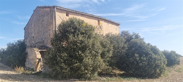 Maison de campagne à vendre à Sant Pere Sallavinera
