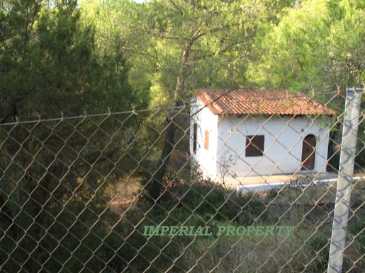 Kupnja: Kuća (20100)