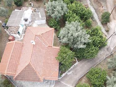 82 Sq.M. House For Sale With 4087 Sq.M. Plot Full Of Olive & Lemon Trees
