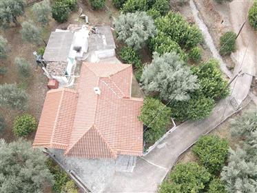82 Sq.M. House For Sale With 4087 Sq.M. Plot Full Of Olive & Lemon Trees
